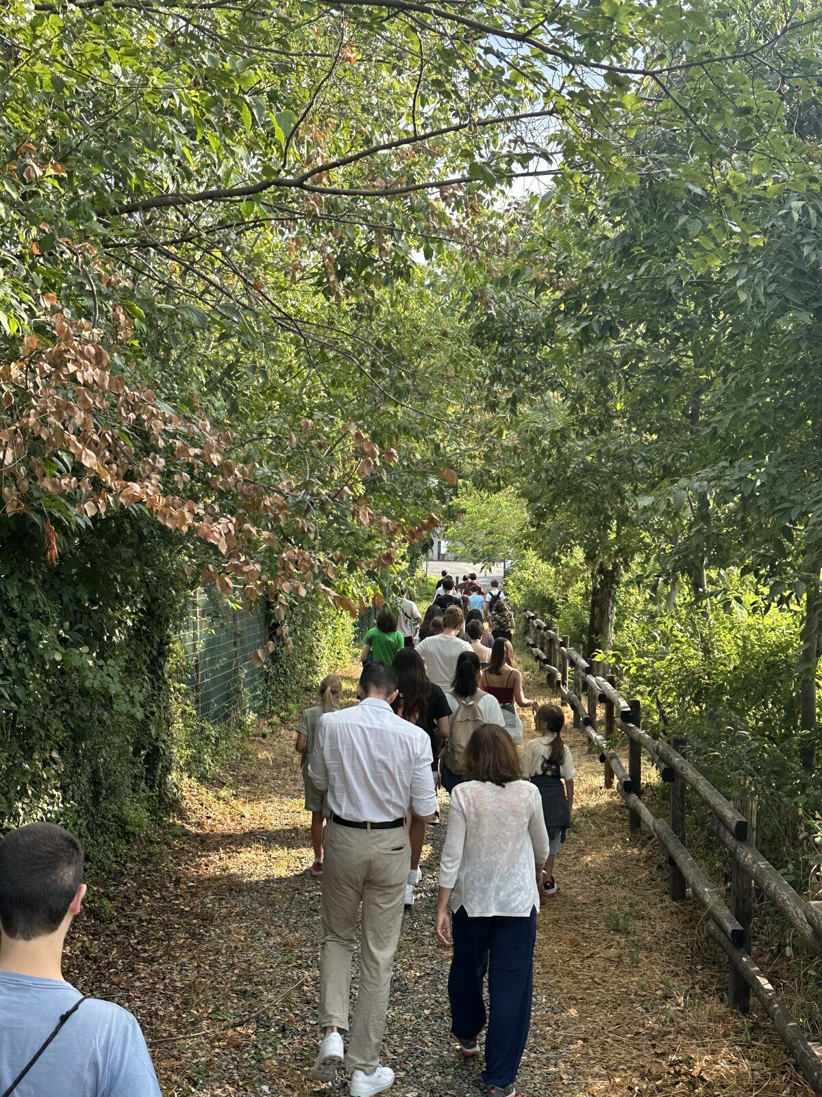 Passeggiata nel verde